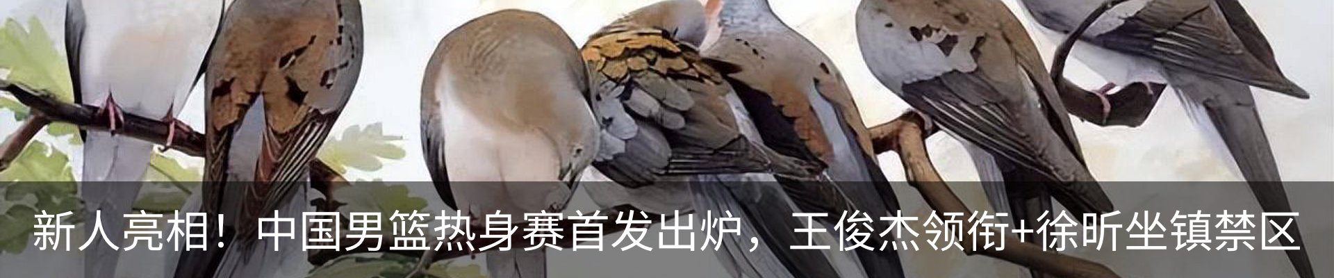 内页banner
